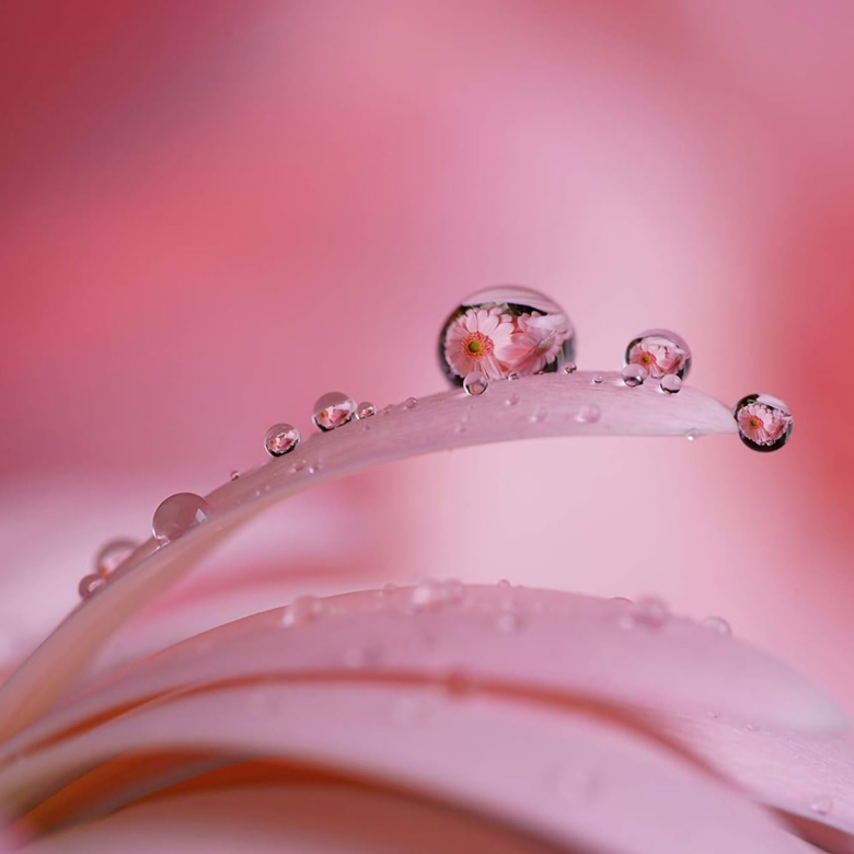 Lens Sony FE 90mm f/2.8 Macro G OSS